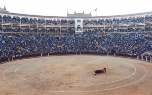 public-domain-images-Free-Stock-Photos-spain-Madrid-Corrida-1000x629
