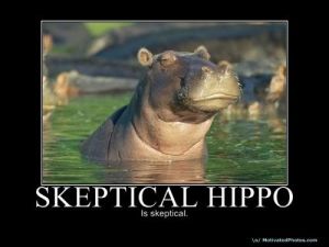 Skeptical-Hippo
